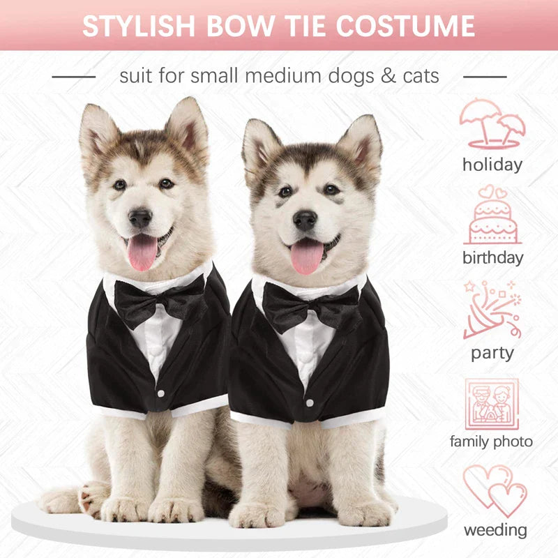 Stylish Dog Black Tie Tuxedo