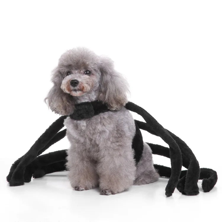 Funny Black Spider Dog Costume