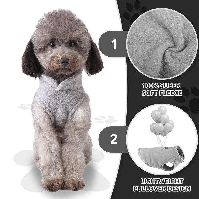 Winter Dog Jacket With Leash O-Ring
