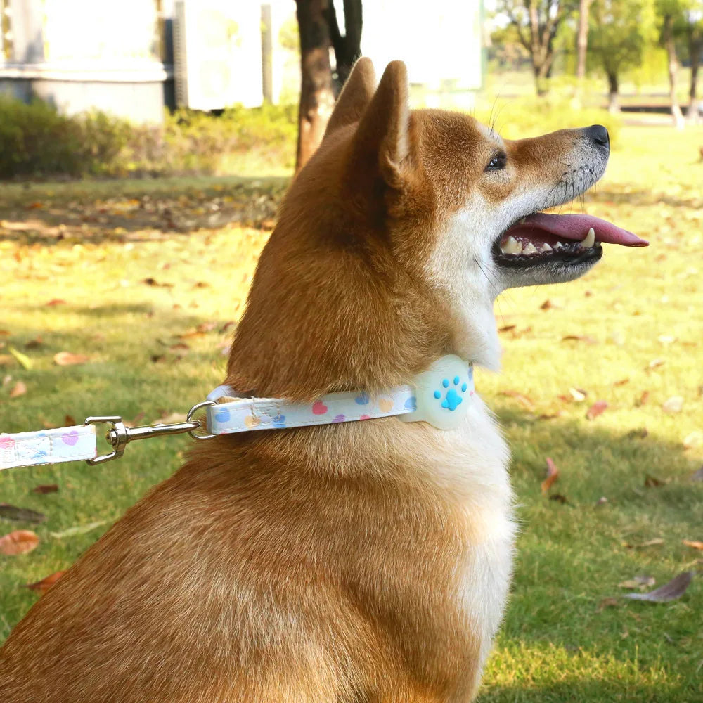 Silicone Cute Pet AirTag Collar & Lead
