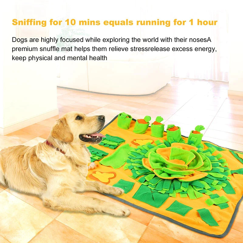 Squeaky Sniffing Puzzle Dog Snuffle Mats