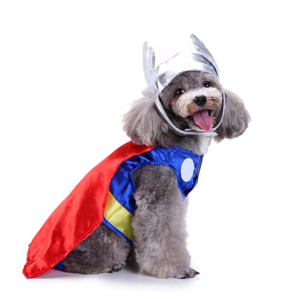 Halloween Pet Thunder God Costume
