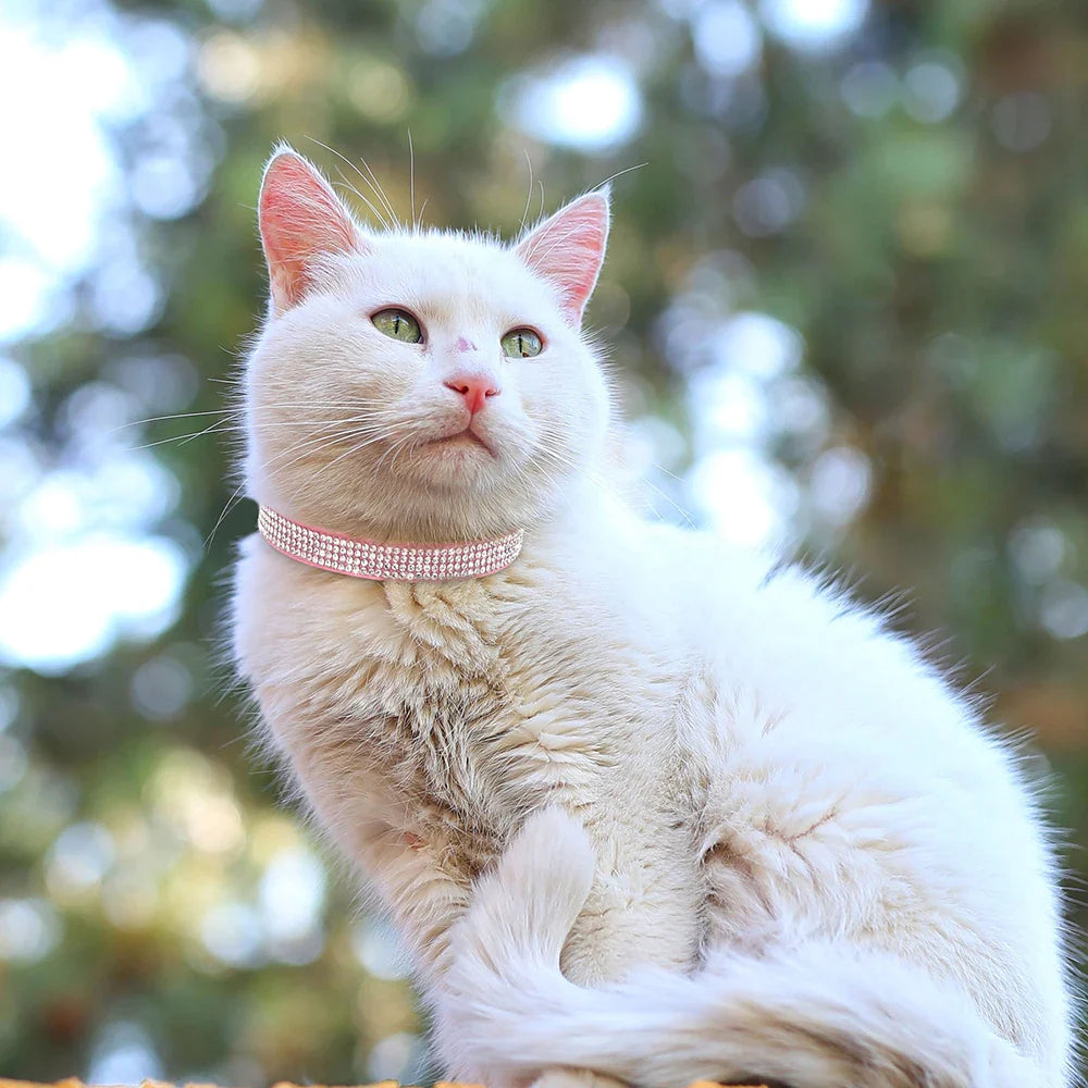 Soft Suede Leather Cat Bling Collars