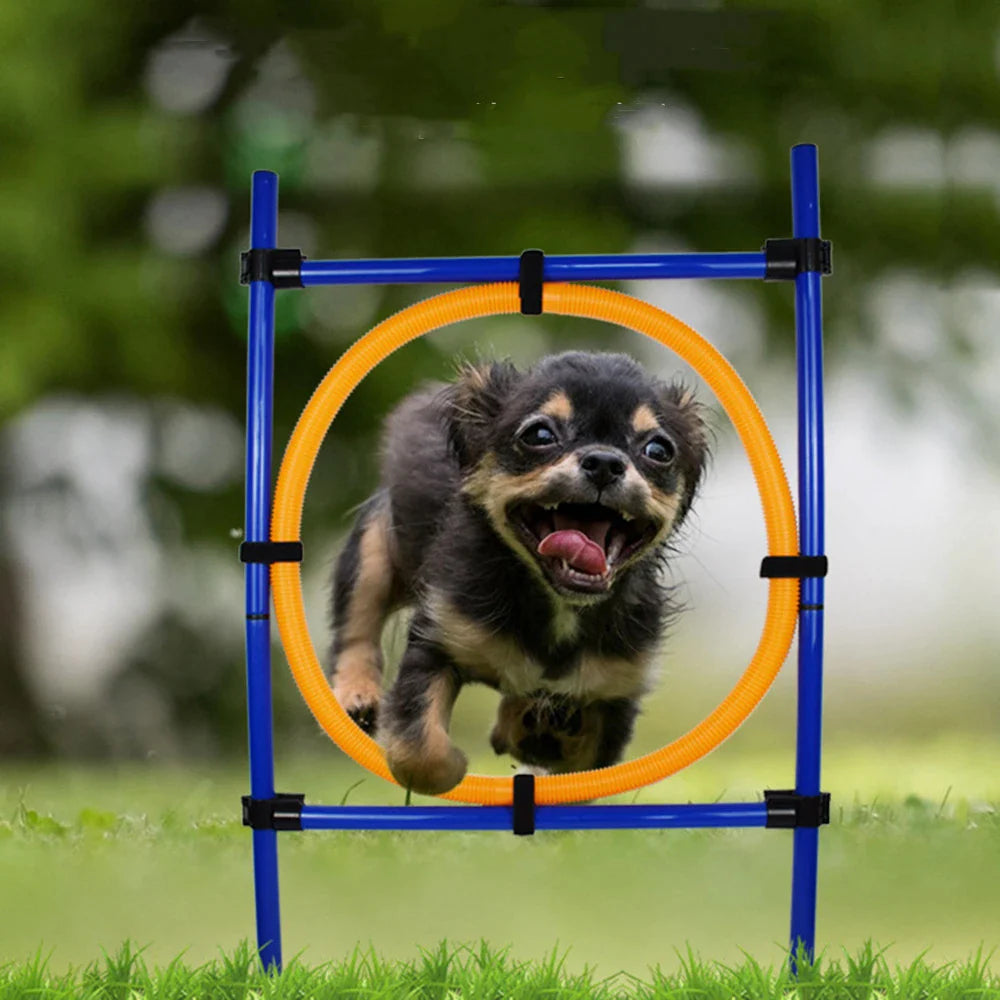 Interactive Dog Training Agility Jump Ring
