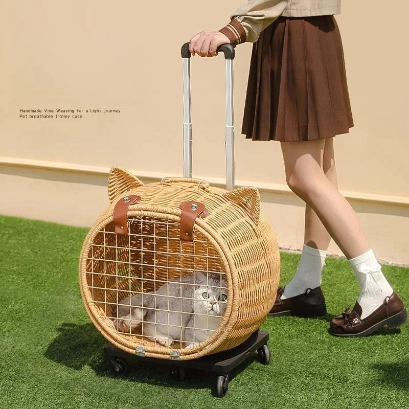 Hand Woven Outdoor Pet Trolley