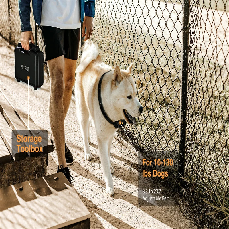 2 Channels Waterproof Training Collar