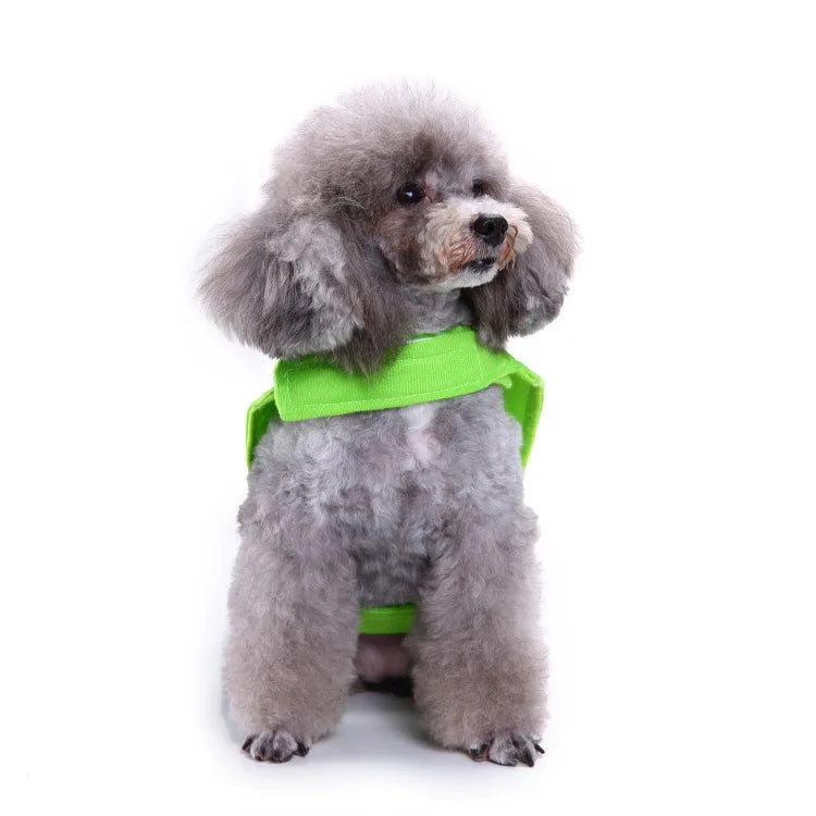 Funny Black Cat Dog Costume