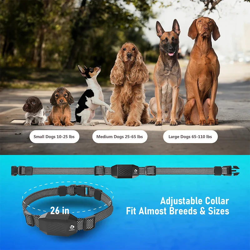 2600FT Smart Dog Training Collar