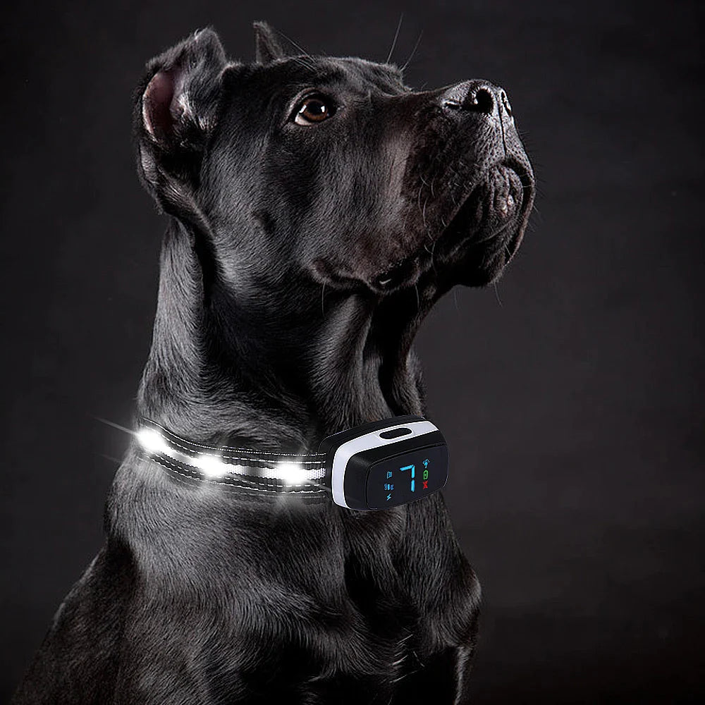 LED Flash Mode Dog Bark Collar
