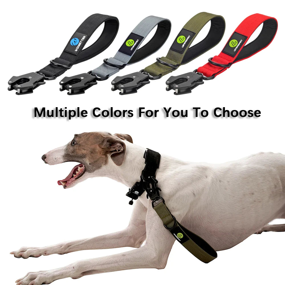 Nylon Traffic Lead For Large Dogs