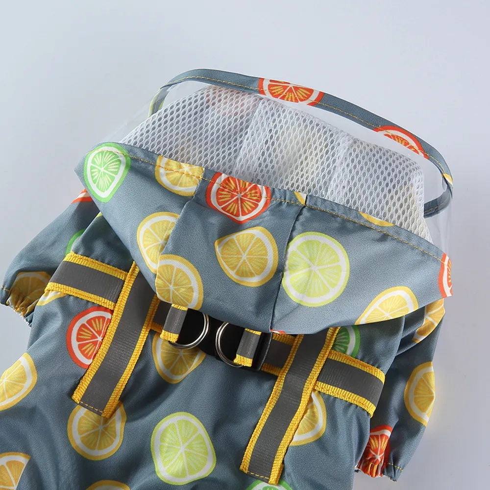 Fruit Print Waterproof Pet Raincoat