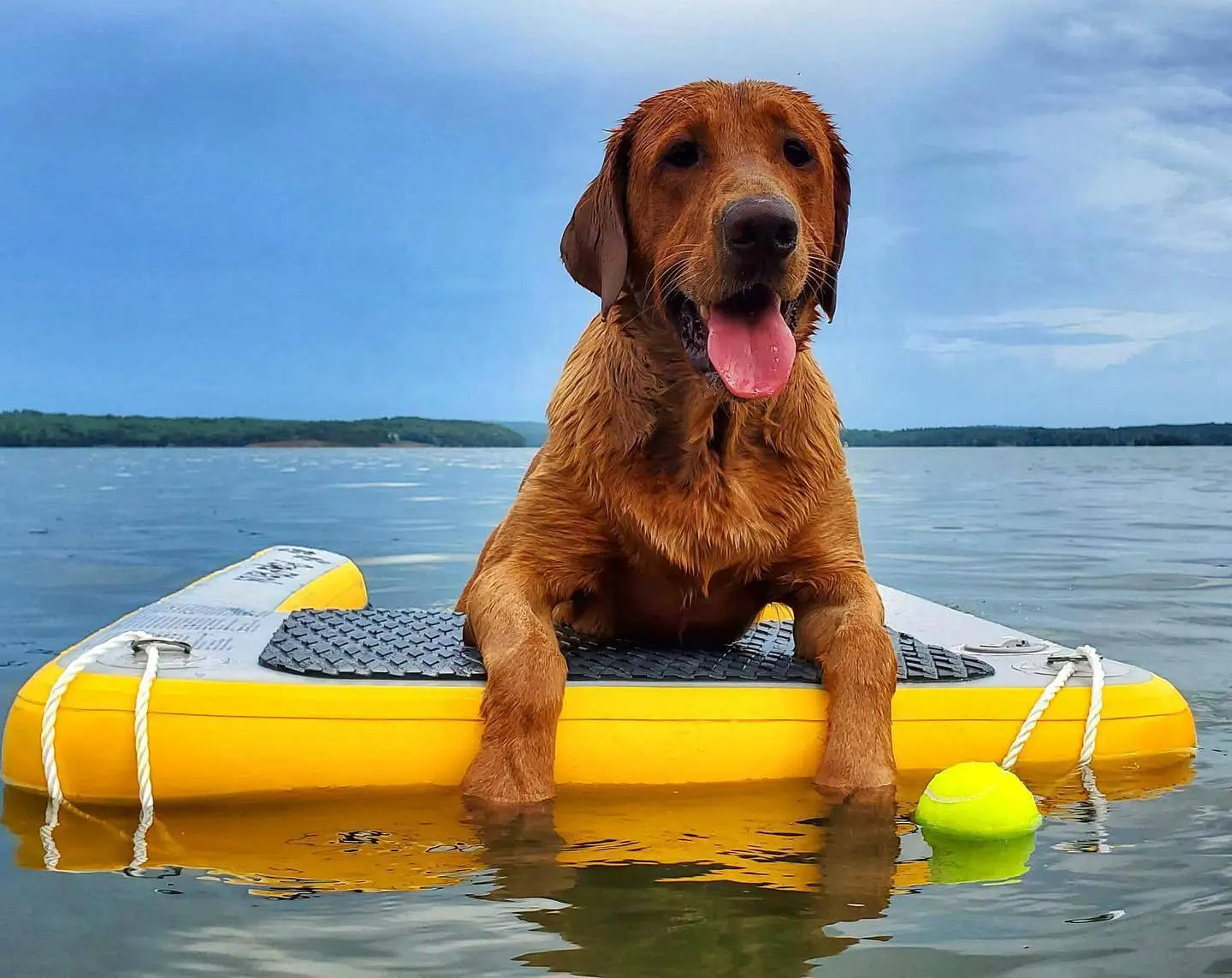 Portable Inflatable Pet Water Ramp