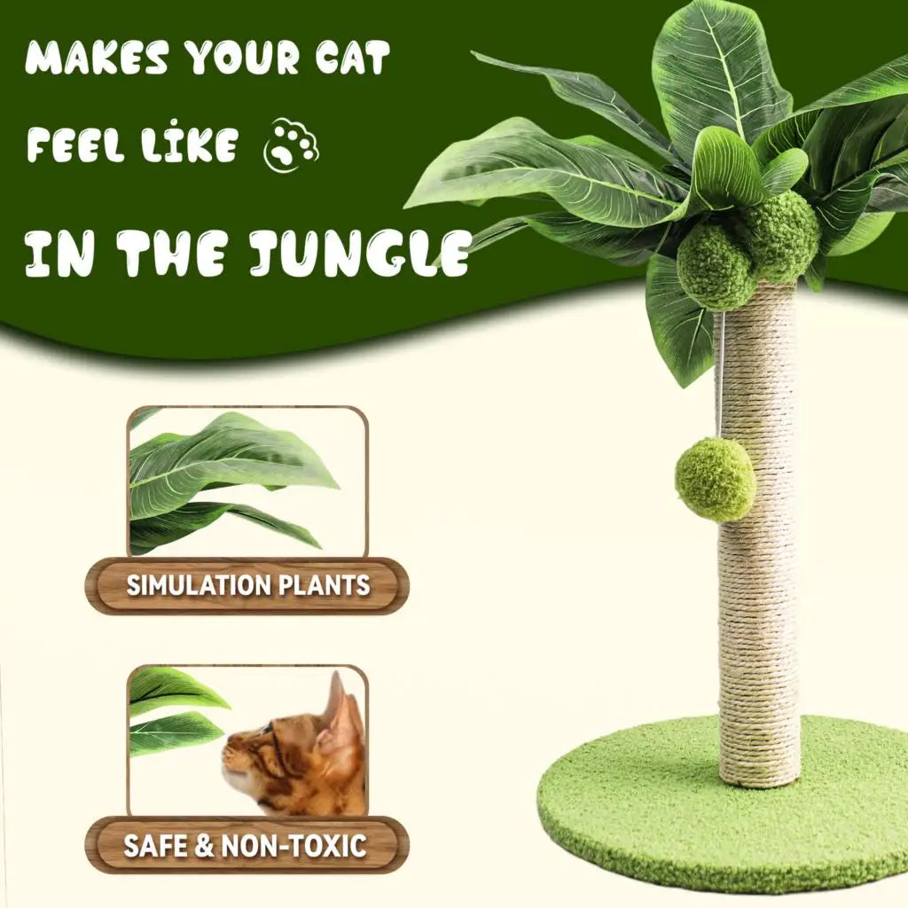 Indoor Sisal Cat Scratching Post