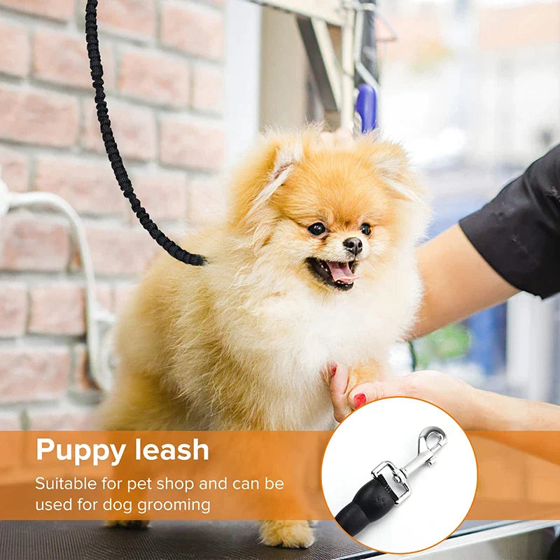 Heavy-duty Metal Clasp Dog Lead