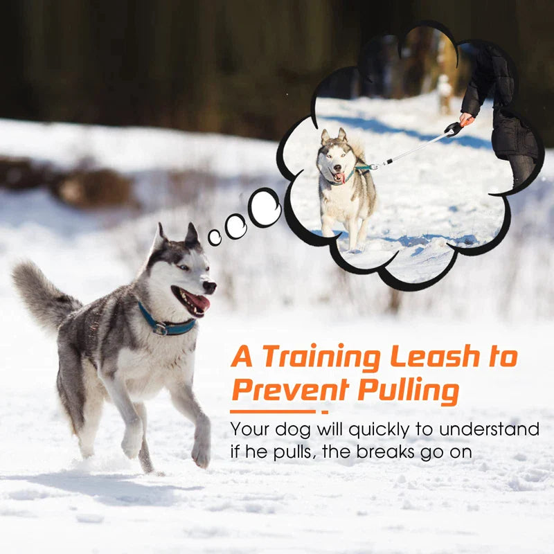 Heavy Duty No Tangle Pet Lead