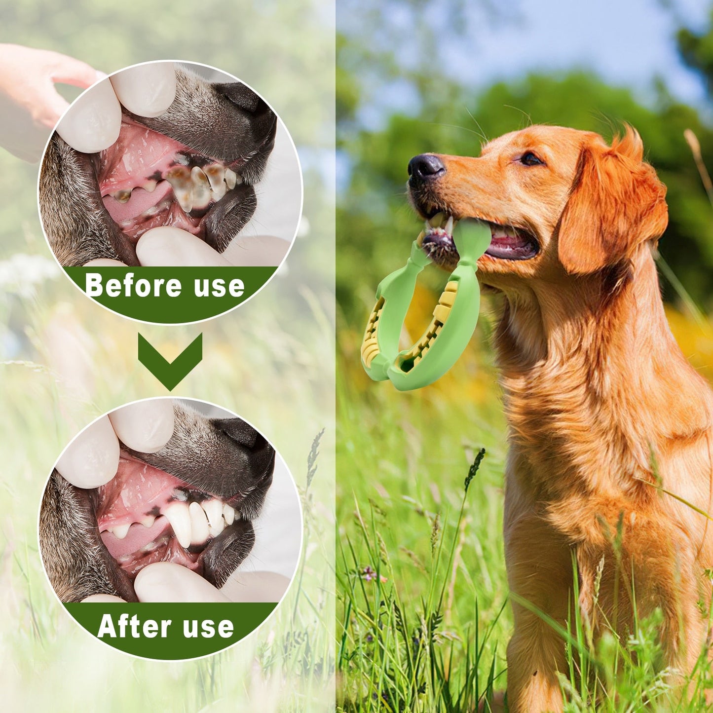 Average Chewers Treat Dispenser Dog Toys