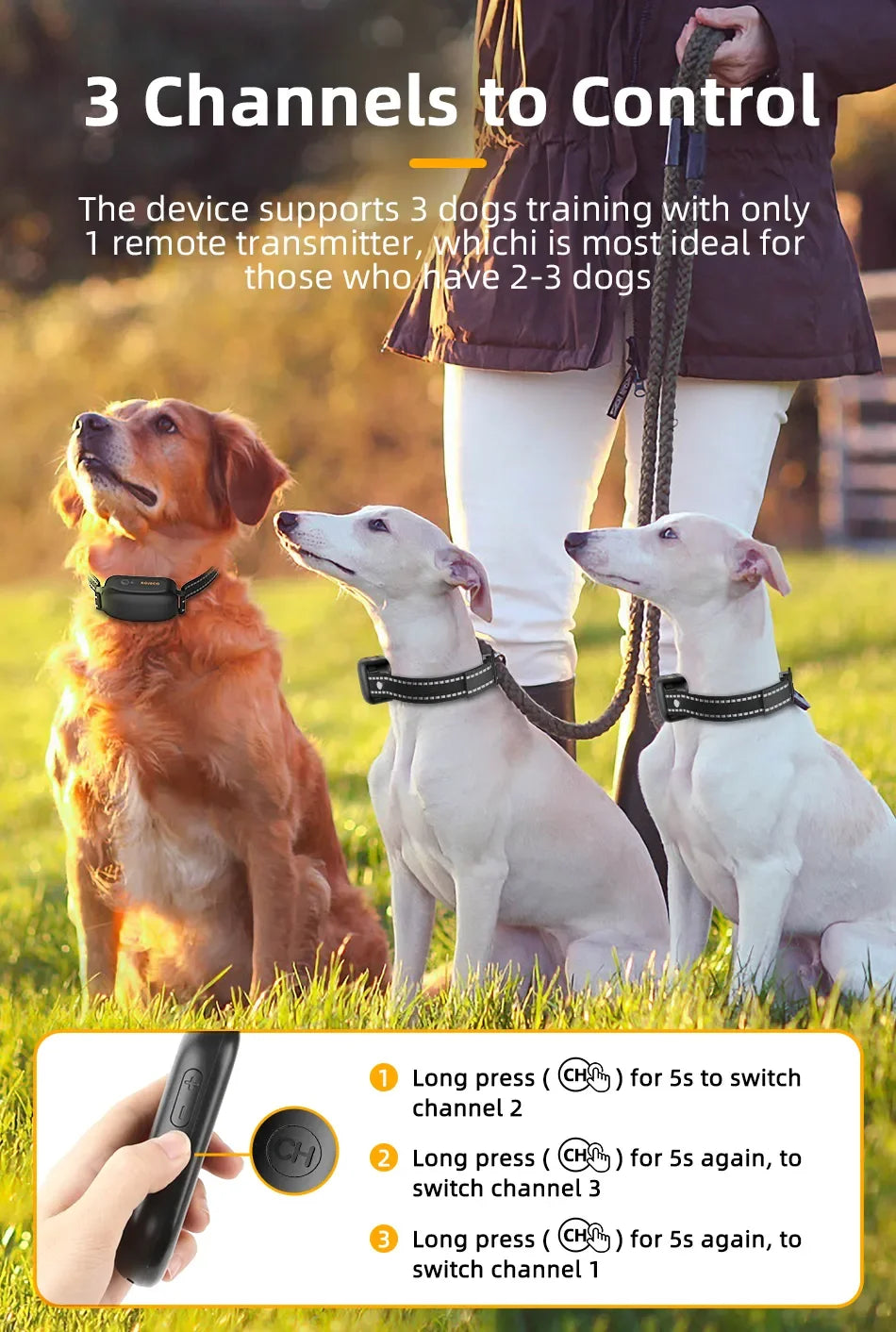 Rechargeable Remote Control IPX7 Dog Collar