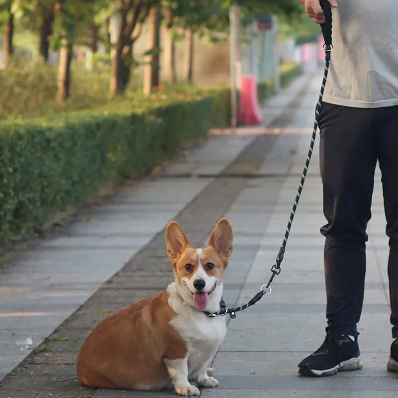 Martingale Sliding Stopper Dog Collar