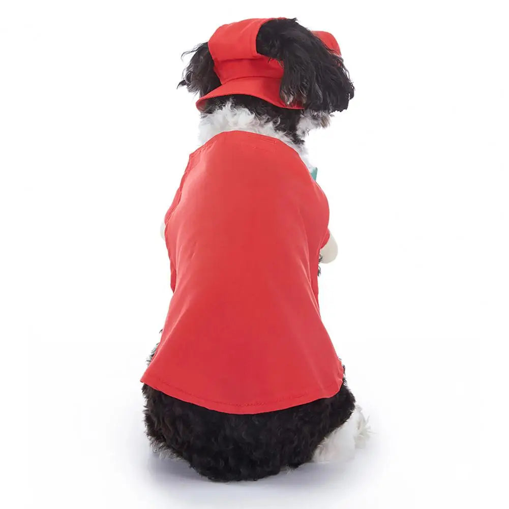Funny Pizza Man Dog Costume