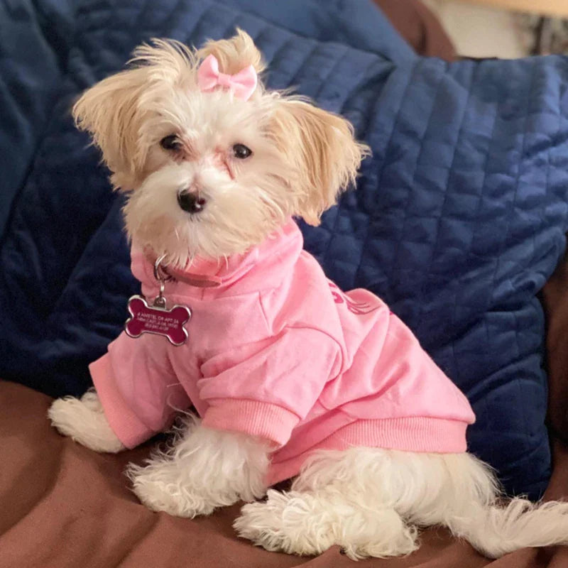 Cute Dog Princess Hoodie