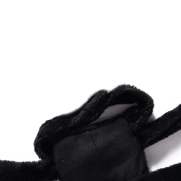 Funny Black Spider Dog Costume