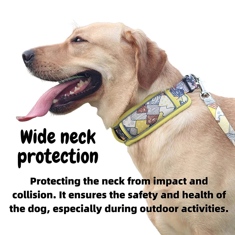 Fashionable Wide Neck Dog Collar