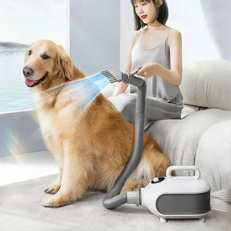 2000W Portable 3 in 1 Dog Hair Dryer
