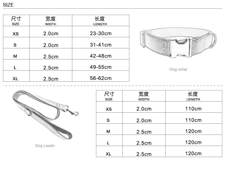 GOLDEN LEAF Carved Dog Collar