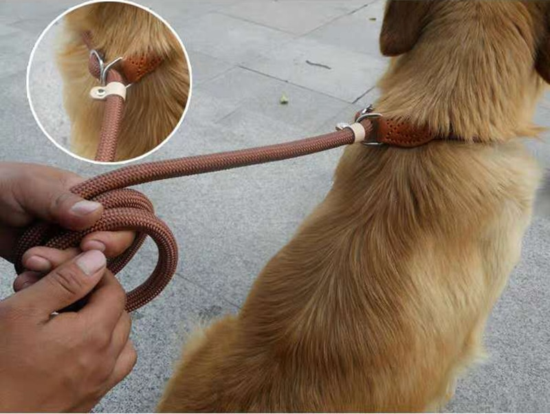 Mountain Climbing P-Chain Dog Lead