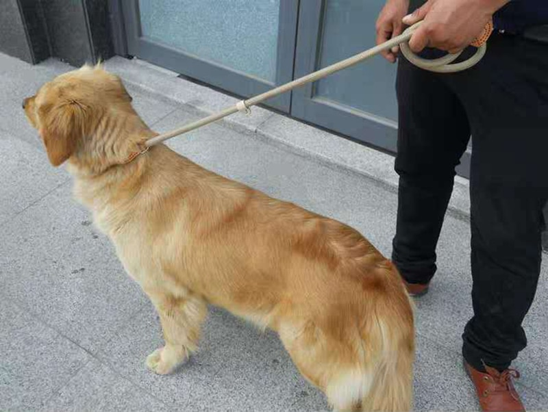 Mountain Climbing P-Chain Dog Lead