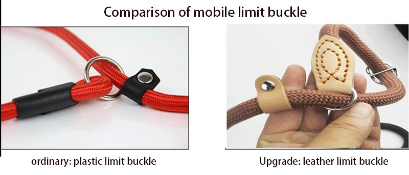 Mountain Climbing P-Chain Dog Lead