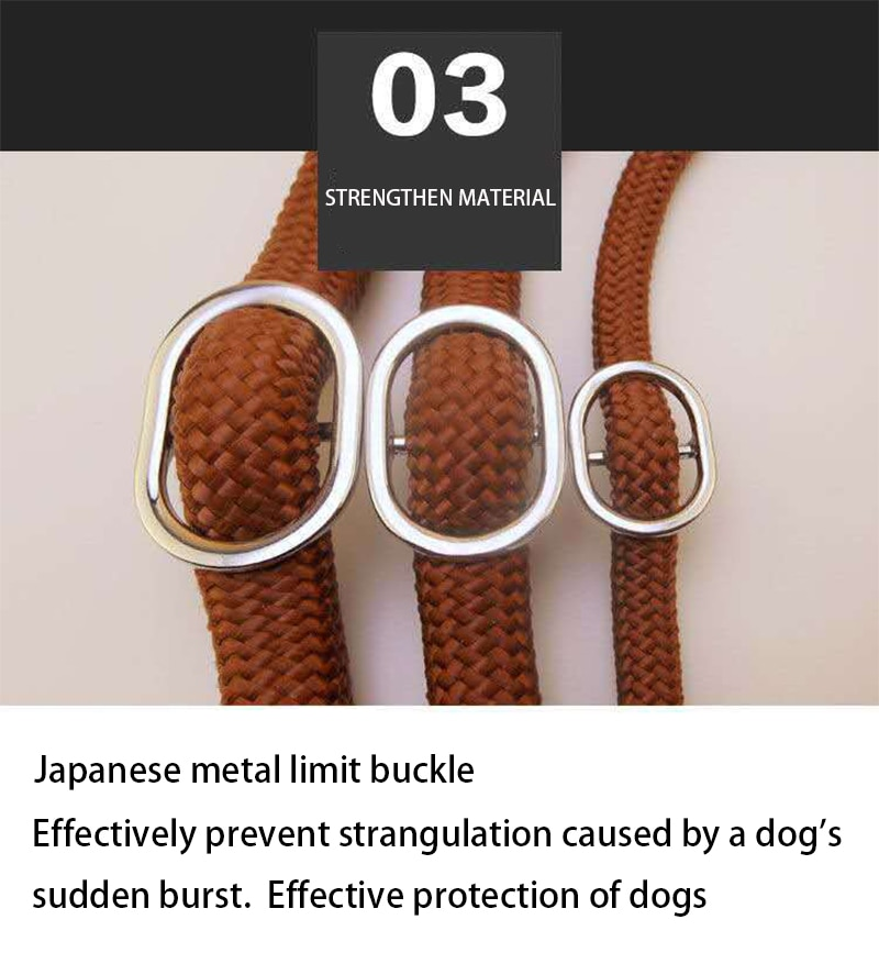 Mountain Climbing P-Chain Dog Lead