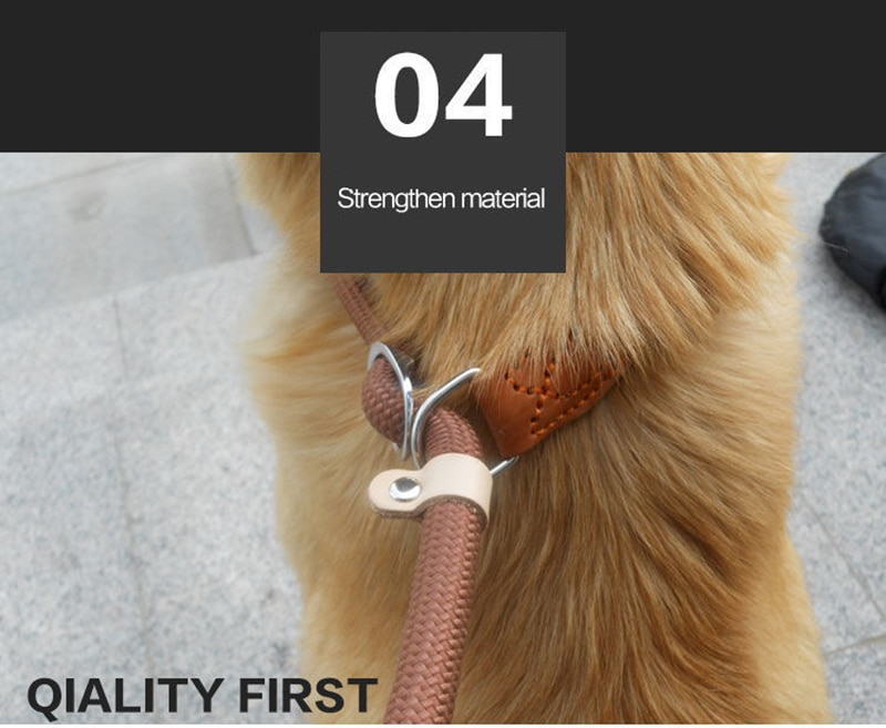 Mountain Climbing P-Chain Dog Lead