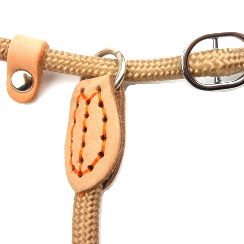 Mountain Climbing P-Chain Dog Lead
