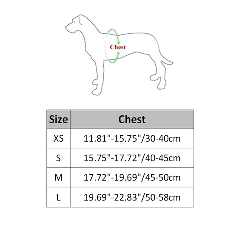 Outdoor Training Dog Harness