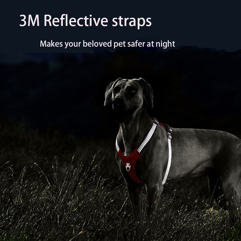 Padded Reflective Nylon Dog Harness
