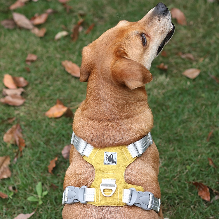 Padded Reflective Nylon Dog Harness
