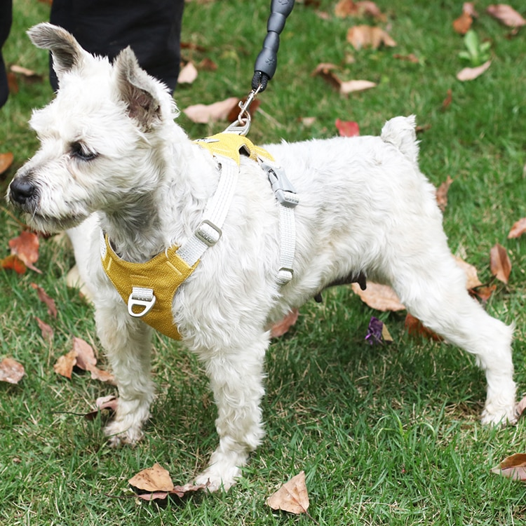 Padded Reflective Nylon Dog Harness