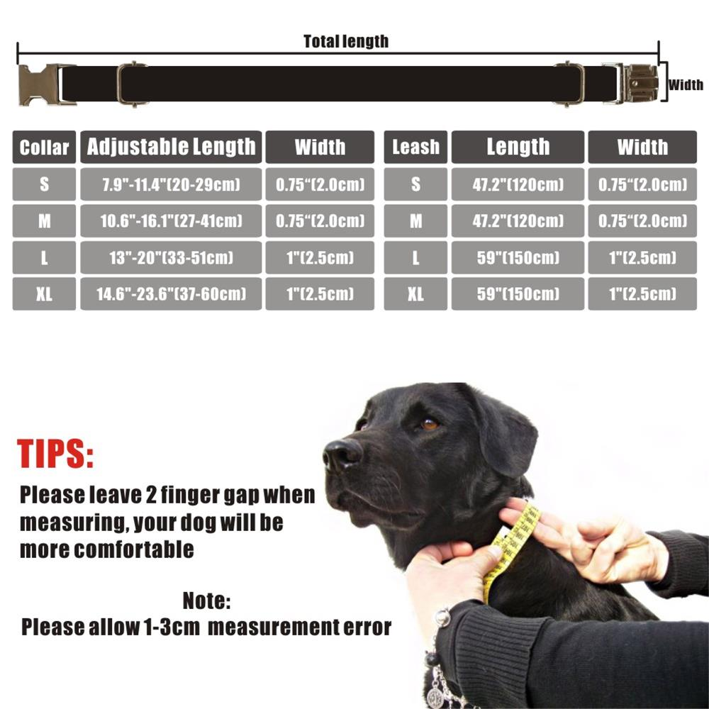 PINEAPPLE Engraved Dog Collar