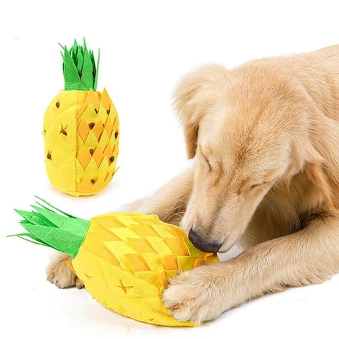 Pineapple Fruit Fun Snuffle Mat