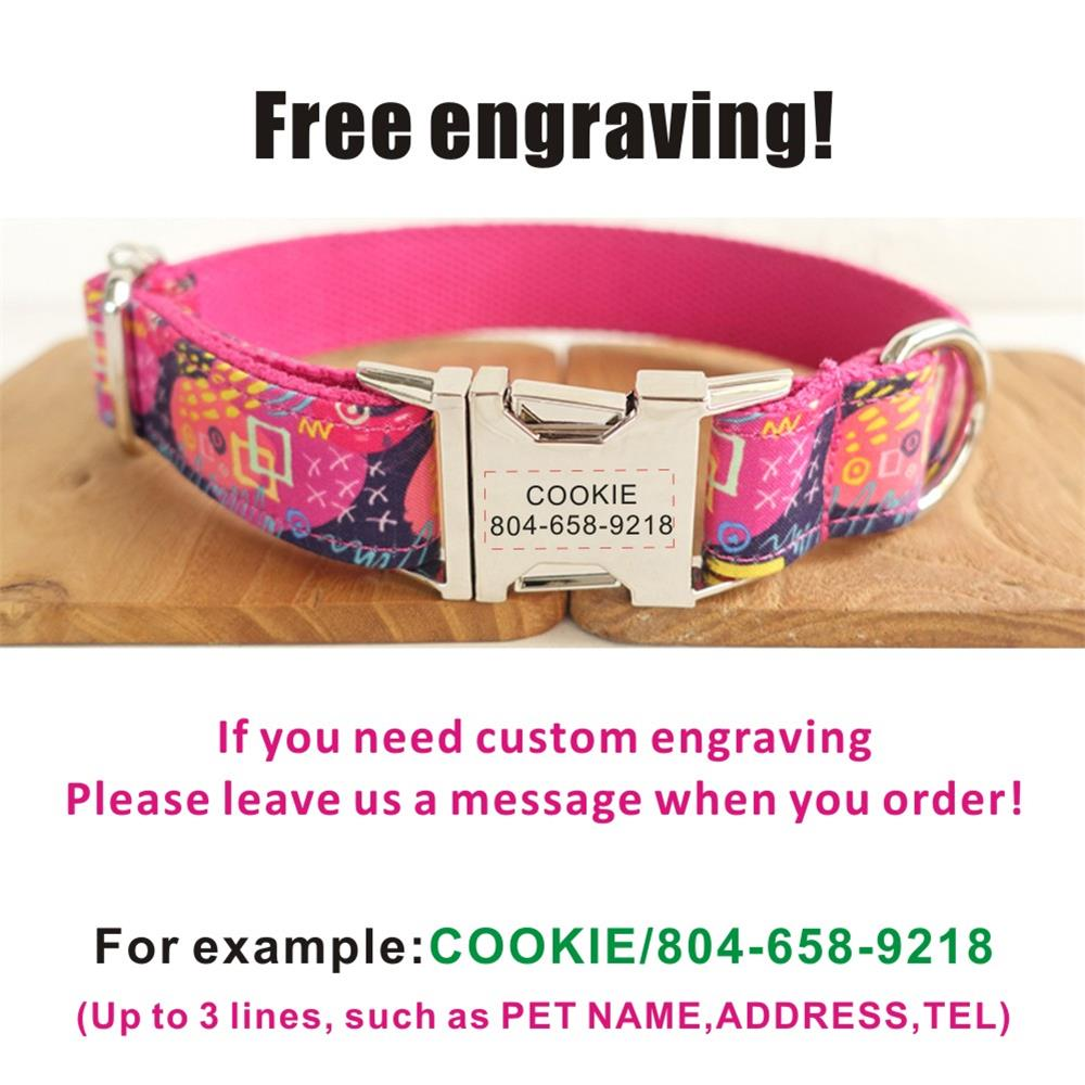 PINK SCRAWL Engraved Dog Collar