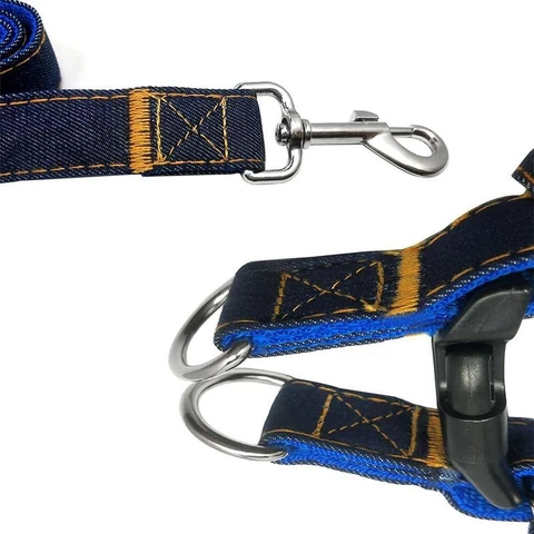 Premium Denim Leash & Harness
