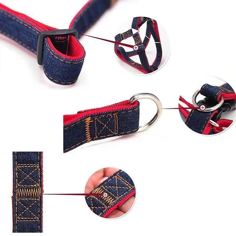 Premium Denim Leash & Harness