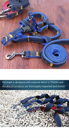 Premium Denim Leash & Harness