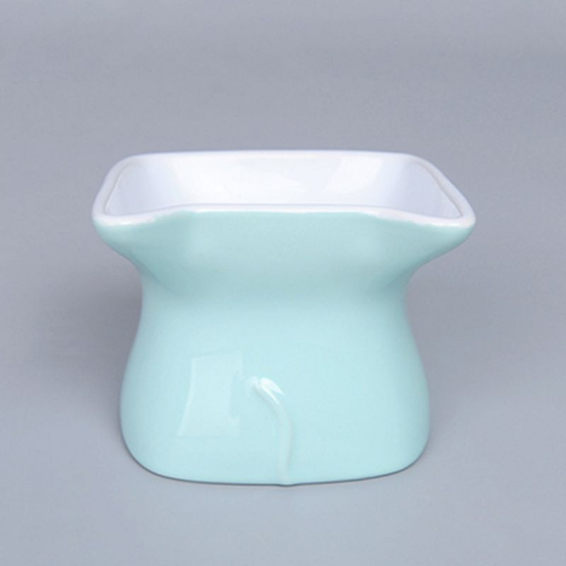 Premium Quality Pet Ceramic Bowl