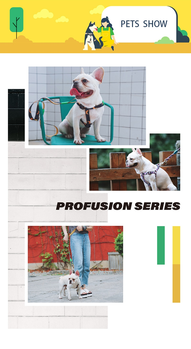 Profusion Series Pet Dog Harness