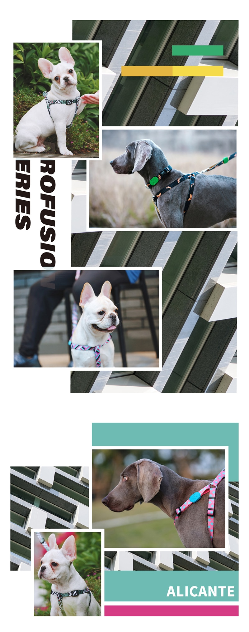 Profusion Series Pet Dog Harness
