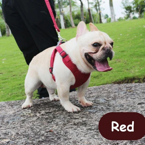 Reflective Dog Harness Vest