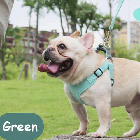 Reflective Dog Harness Vest