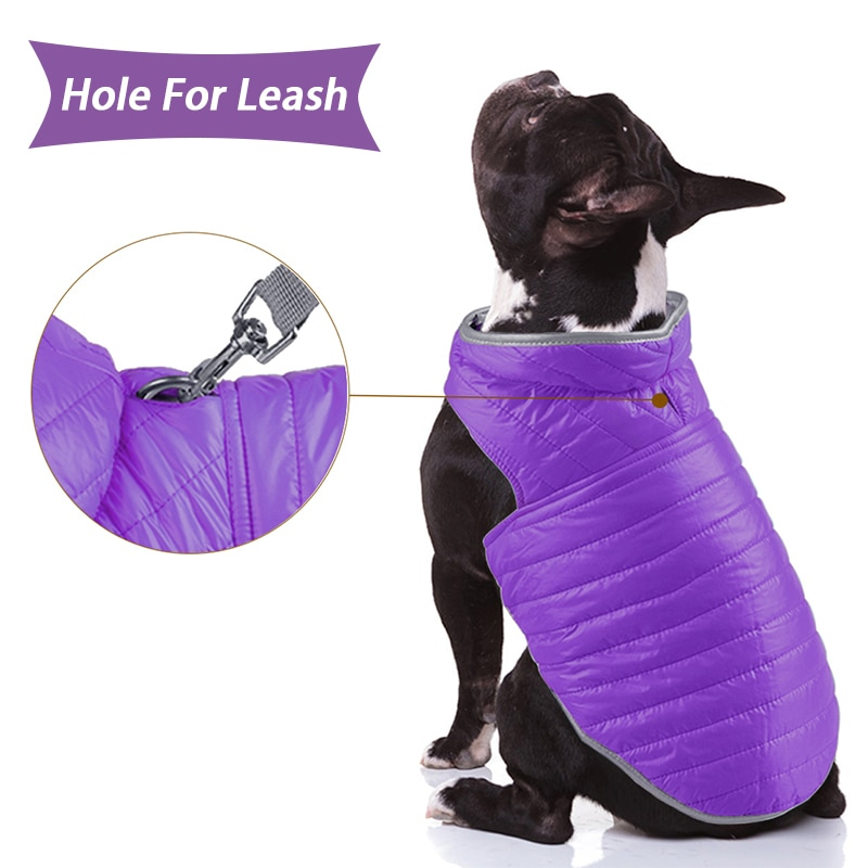 Reversible Small Dog Down Jacket